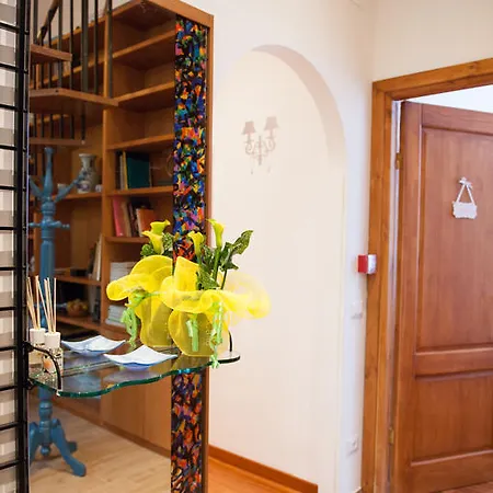 Guest house Domus Amelia 2*